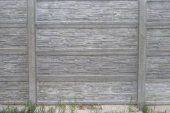 Slanec_karpatskiy (2)